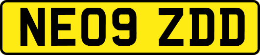 NE09ZDD