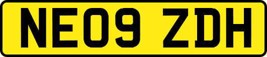 NE09ZDH