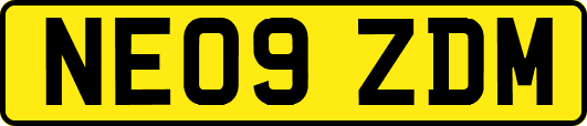 NE09ZDM