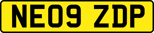 NE09ZDP