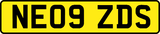 NE09ZDS