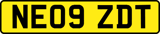 NE09ZDT