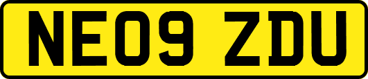 NE09ZDU