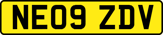 NE09ZDV