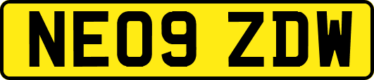 NE09ZDW