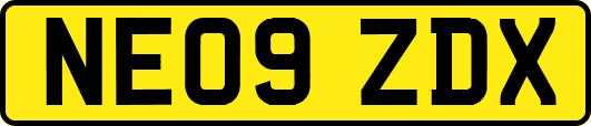 NE09ZDX