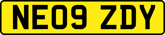 NE09ZDY