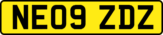 NE09ZDZ
