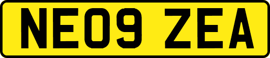 NE09ZEA