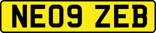 NE09ZEB