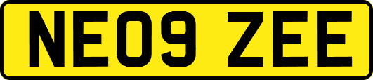 NE09ZEE