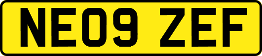 NE09ZEF