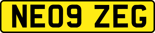 NE09ZEG