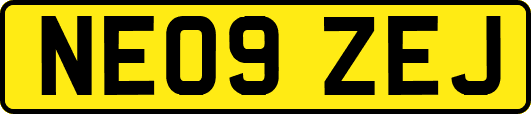 NE09ZEJ