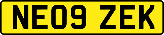 NE09ZEK