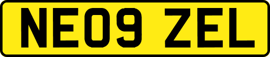 NE09ZEL