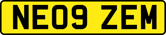 NE09ZEM