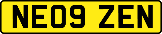 NE09ZEN