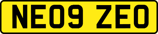 NE09ZEO