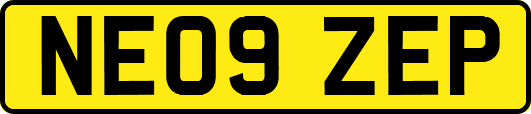 NE09ZEP