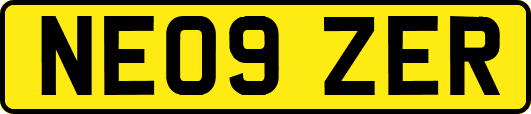 NE09ZER