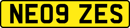 NE09ZES