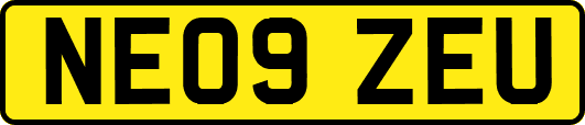 NE09ZEU