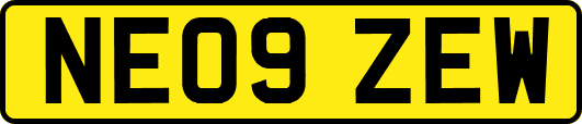 NE09ZEW