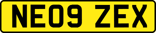 NE09ZEX
