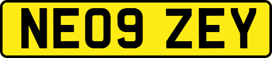 NE09ZEY