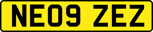 NE09ZEZ