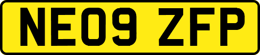 NE09ZFP