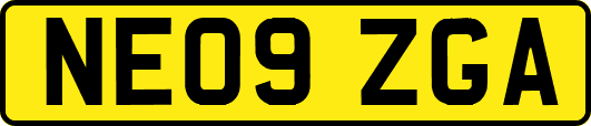 NE09ZGA