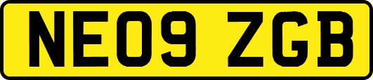 NE09ZGB