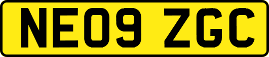 NE09ZGC