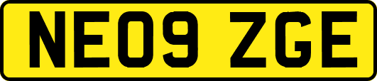 NE09ZGE