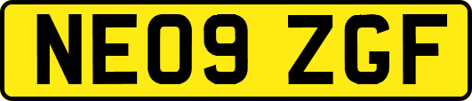 NE09ZGF