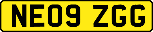 NE09ZGG
