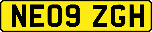 NE09ZGH