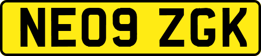 NE09ZGK