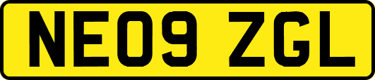 NE09ZGL