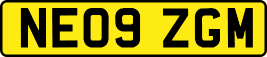 NE09ZGM