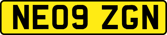 NE09ZGN