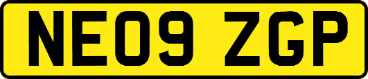 NE09ZGP