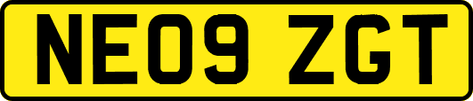 NE09ZGT