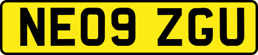 NE09ZGU