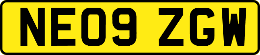 NE09ZGW