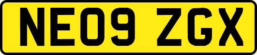 NE09ZGX