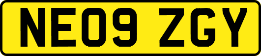 NE09ZGY