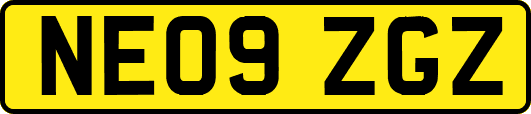 NE09ZGZ